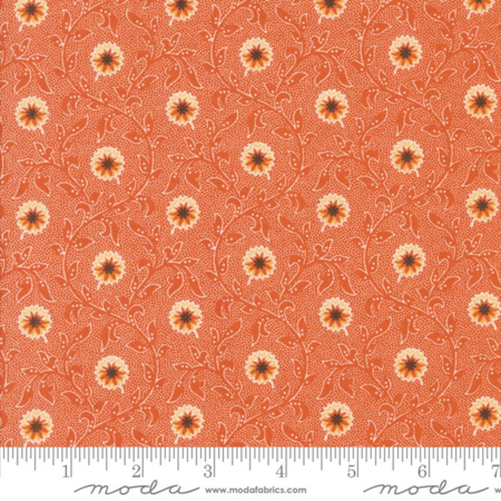 49290-15 Pumpkin Spice Ghat tessuto americano  taglio 25x110 cm