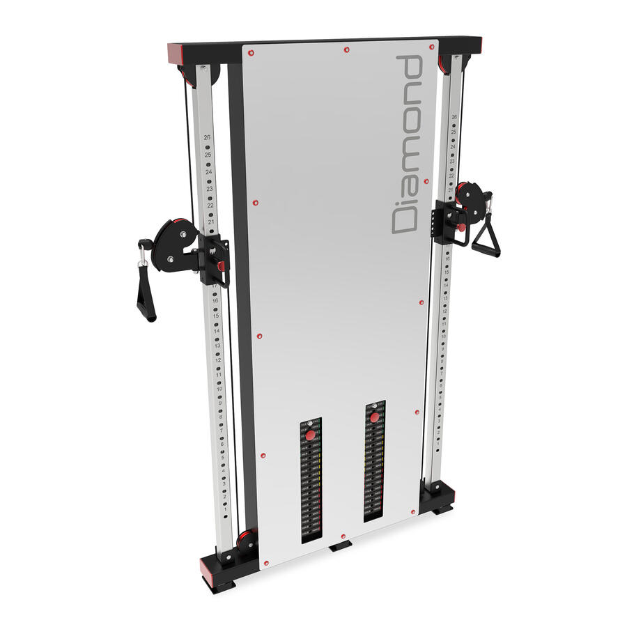 POLIERCOLINA DOPPIA A MURO- Linea Strength Diamond cod.WS350-PED