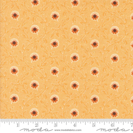 49290-16 Pumpkin Spice Ghat tessuto americano  taglio 25x110 cm