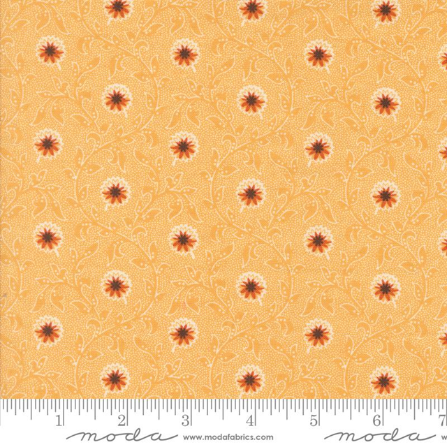 49290-16 Pumpkin Spice Ghat tessuto americano  taglio 25x110 cm