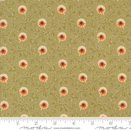 49290-17 Pumpkin Spice Ghat tessuto americano  taglio 25x110 cm