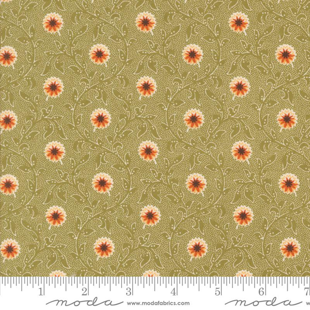 49290-17 Pumpkin Spice Ghat tessuto americano  taglio 25x110 cm