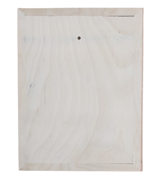 Set 5 Tavolette in Legno di Betulla - Pannelli per Pittura, Hobby, Artigianato (24x18 cm)