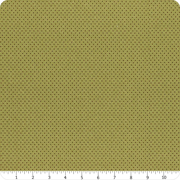 49293-21 Pumpkin Spice Ghat tessuto americano  taglio 25x110 cm