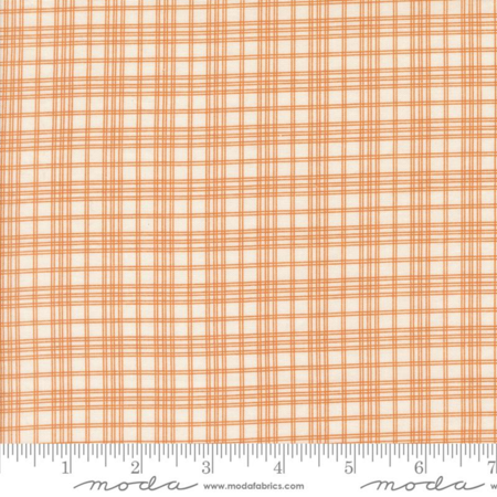 49294-15 Pumpkin Spice Ghat tessuto americano  taglio 25x110 cm
