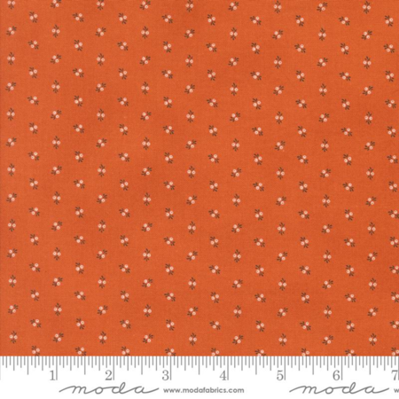 49295-20 Pumpkin Spice Ghat tessuto americano  taglio 25x110 cm