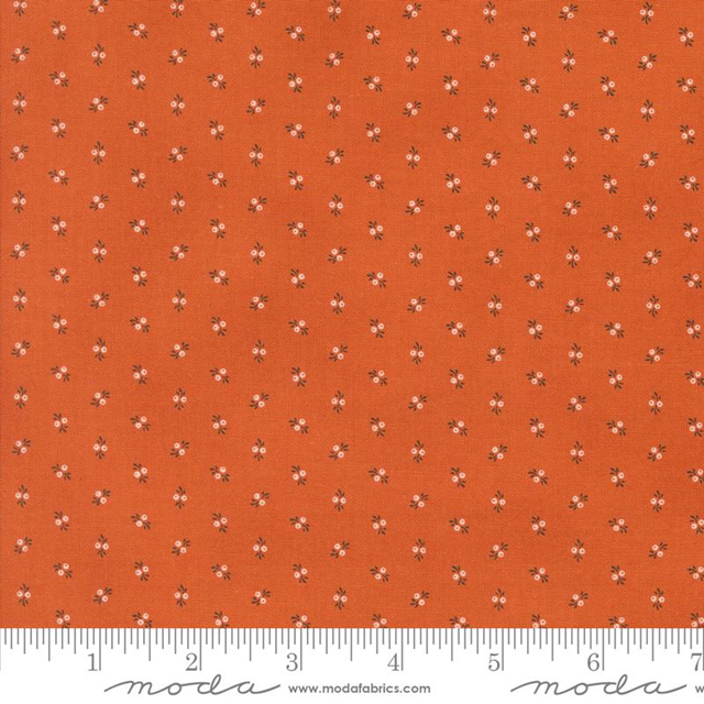 49295-20 Pumpkin Spice Ghat tessuto americano  taglio 25x110 cm