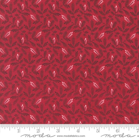 49297-16  Pumpkin Spice Ghat tessuto americano  taglio 25x110 cm