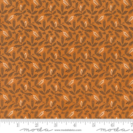 49297-18 Pumpkin Spice Ghat tessuto americano  taglio 25x110 cm