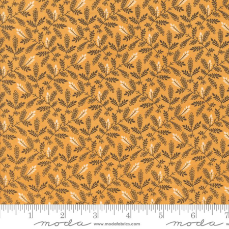 49297-19 Pumpkin Spice Ghat tessuto americano  taglio 25x110 cm