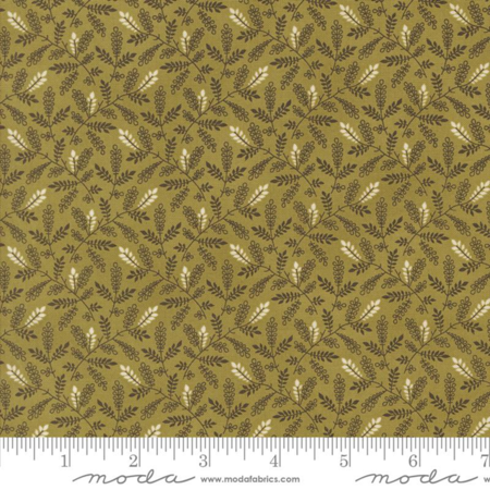 49297-20 Pumpkin Spice Ghat tessuto americano  taglio 25x110 cm