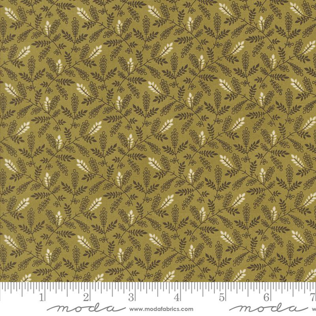 49297-20 Pumpkin Spice Ghat tessuto americano  taglio 25x110 cm