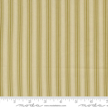 49298-15 Pumpkin Spice Ghat tessuto americano  taglio 25x110 cm
