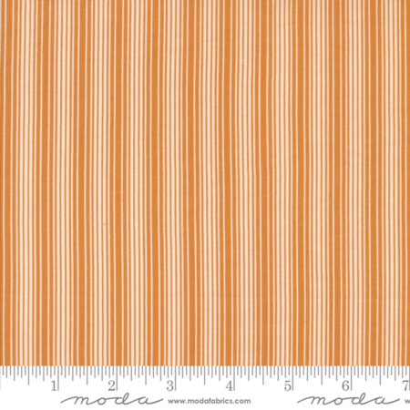 49298-14 Pumpkin Spice Ghat tessuto americano  taglio 25x110 cm