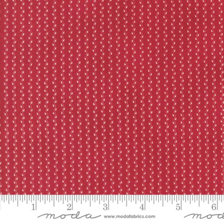 49299-17 Pumpkin Spice Ghat tessuto americano  taglio 25x110 cm