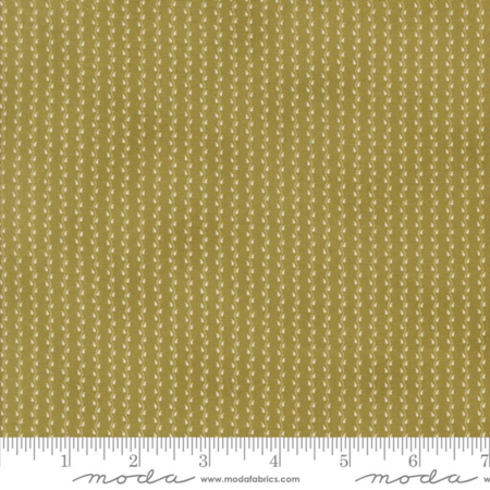 49299-22 Pumpkin Spice Ghat tessuto americano  taglio 25x110 cm
