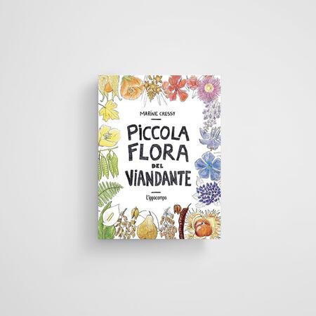 Piccola flora del viandante