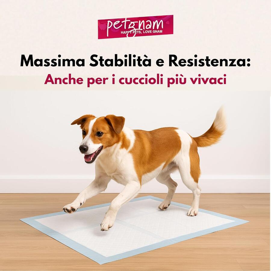 300 tappetini assorbenti 60x90 per cani gatti cuccioli traverse igieniche offerta Petgnam