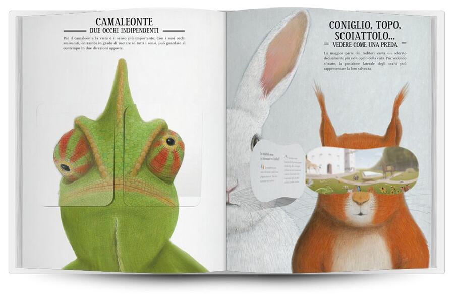 Zoottica - Come vedono gli animali?