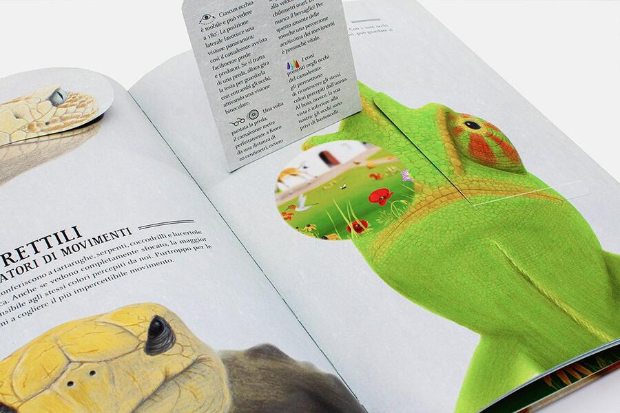 Zoottica - Come vedono gli animali?