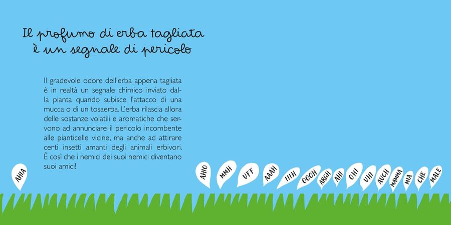 L'avresti mai detto?