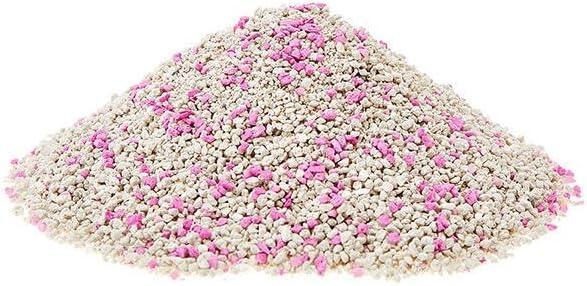 Petgnam 10L Lettiera Per Gatti Bentonite Bianca Profumo Talco Agglomerante