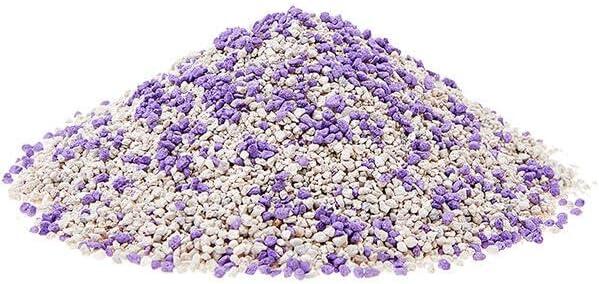 Petgnam 10L Lettiera Per Gatti Bentonite Bianca Profumo Lavanda Agglomerante