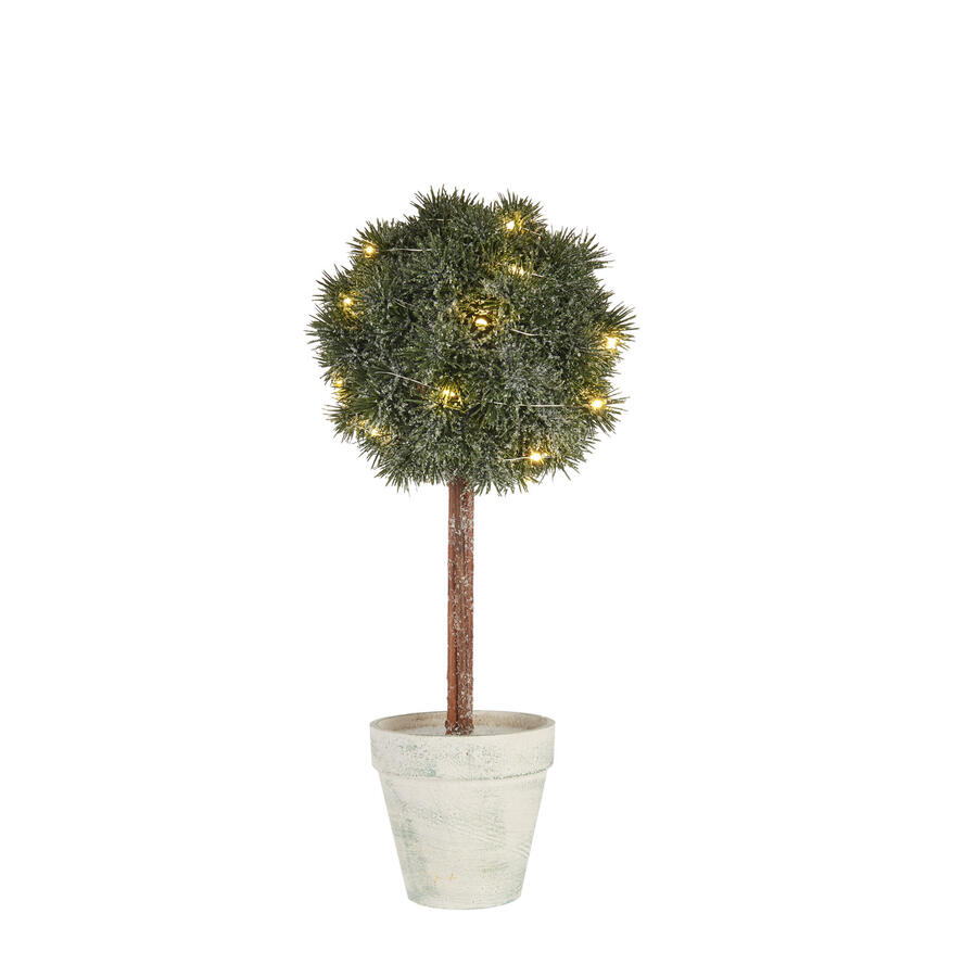 L'Oca Nera - Natale 2025 "Verdi Pensieri" Albero piccolo con 25 led