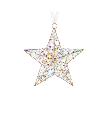 L'Oca Nera - Natale 2025 "Scintille Magiche" Stella 5 punte con 10 led