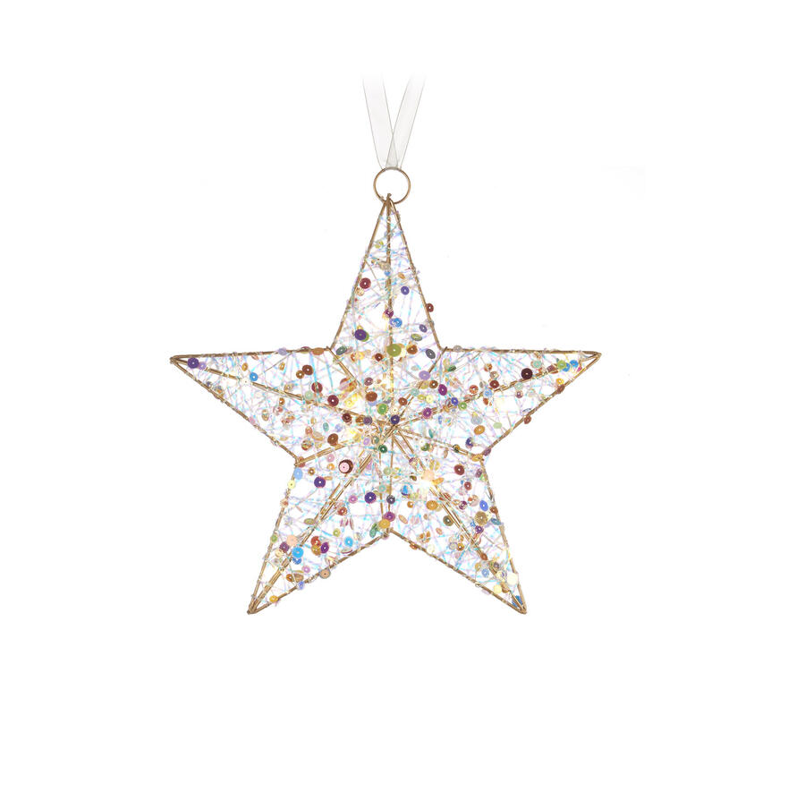 L'Oca Nera - Natale 2025 "Scintille Magiche" Stella 5 punte con 10 led