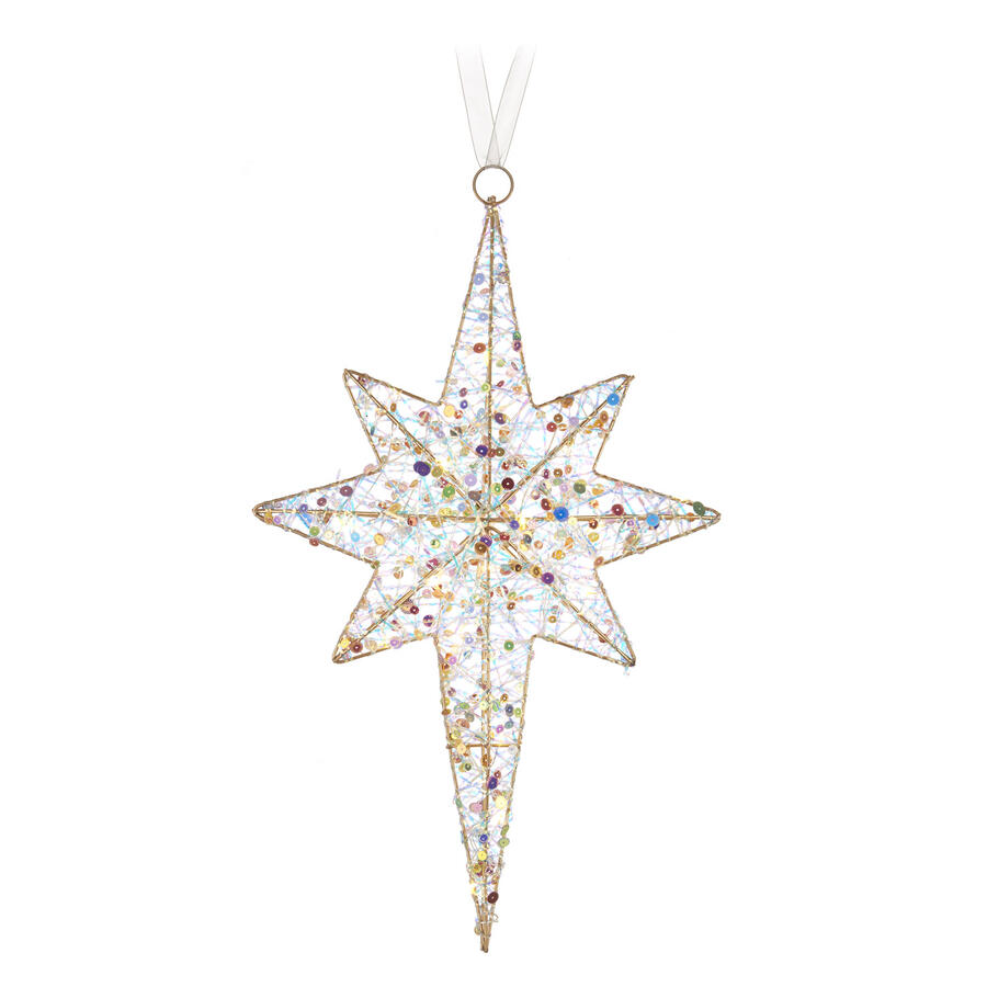 L'Oca Nera - Natale 2025 "Scintille Magiche" Stella 8 punte con 20 led
