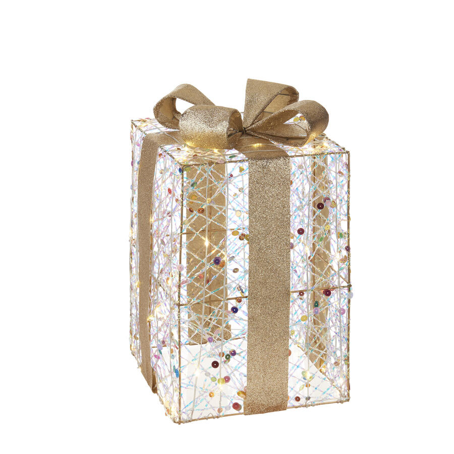 L'Oca Nera - Natale 2025 "Scintille Magiche" pacco medio con 40 led