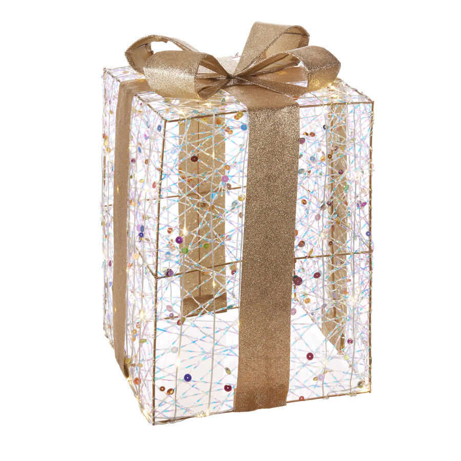 L'Oca Nera - Natale 2025 "Scintille Magiche" pacco grande con 80 led