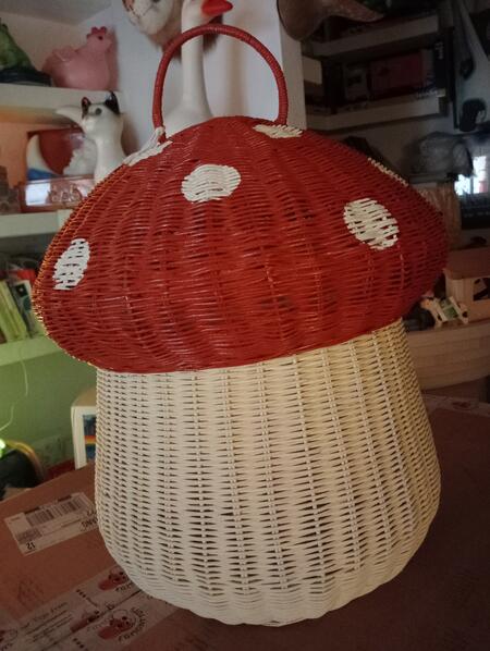 cesta fungo rosso