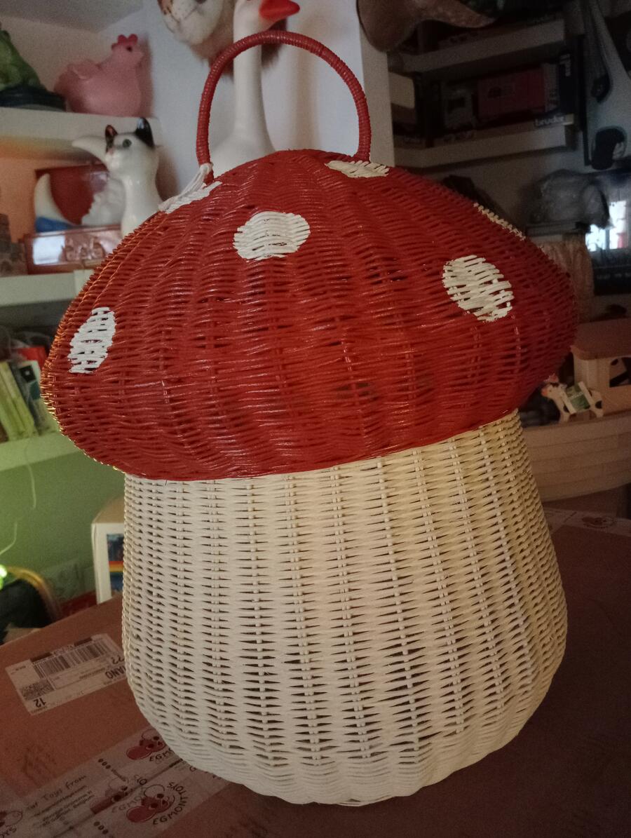 cesta fungo rosso