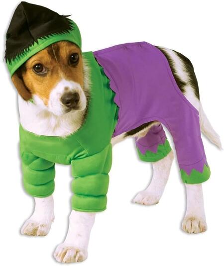 Costume Hulk Dog Taglia Small Rubie's
