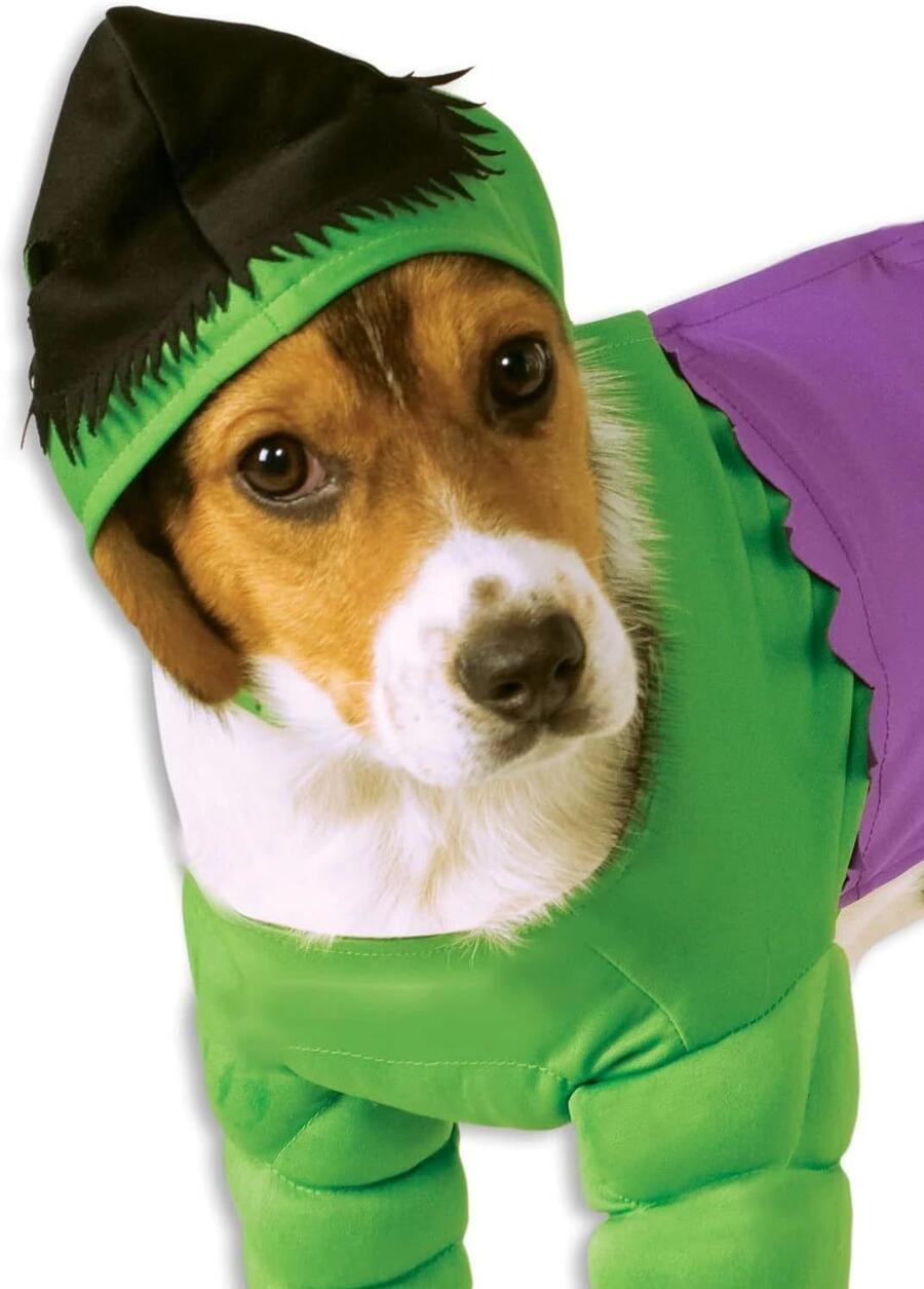 Costume Hulk Dog Taglia Small Rubie's
