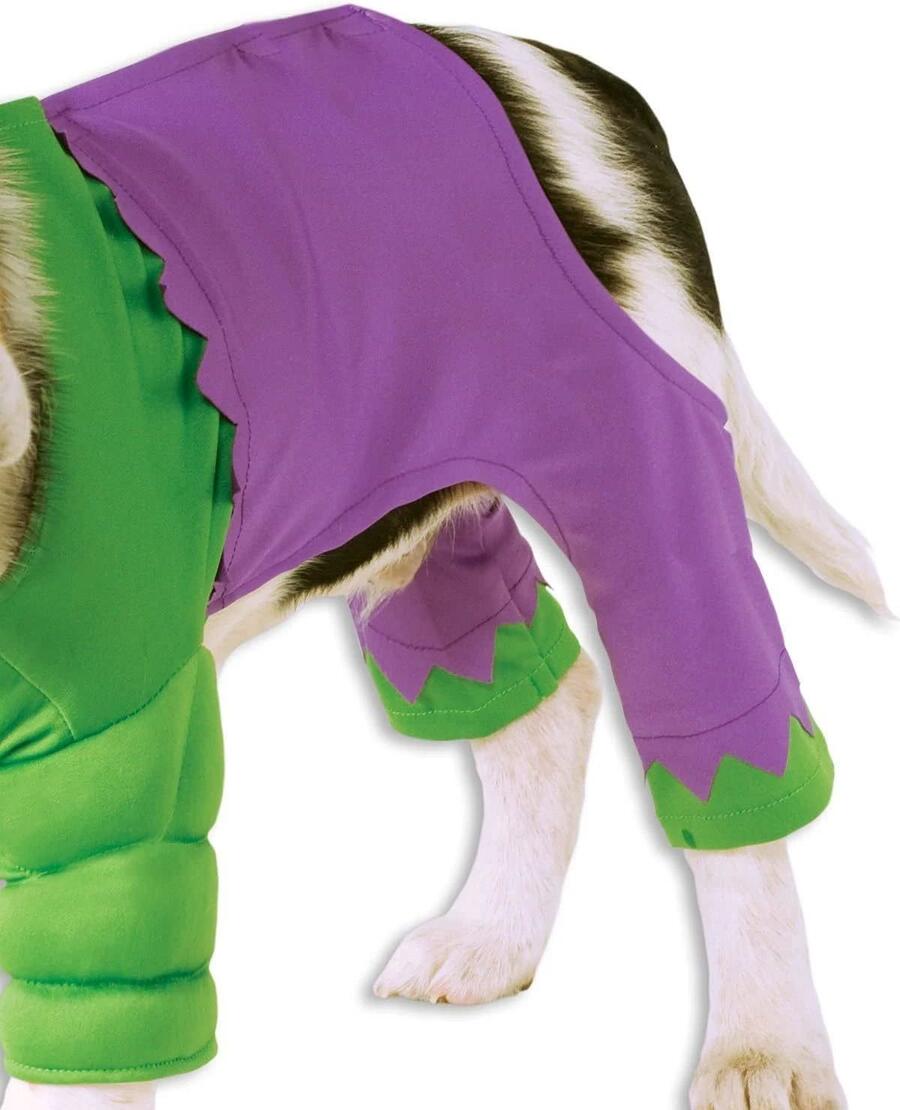 Costume Hulk Dog Taglia Small Rubie's
