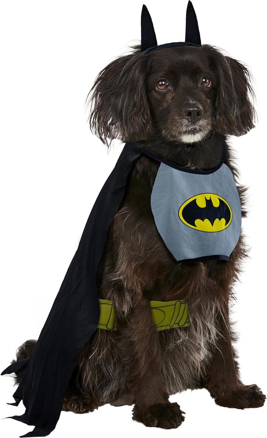 Costume Batman Dog Taglia Small, Rubie's