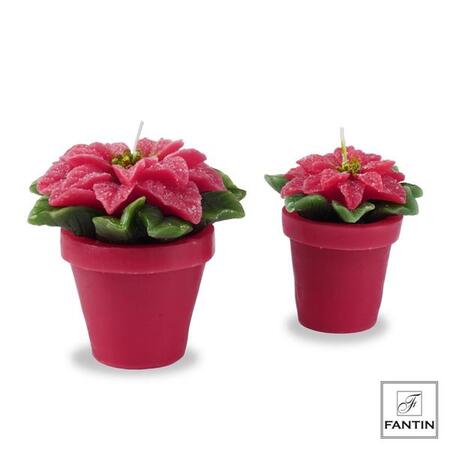 Fantin Argenti - Natale 2025 - Set 4 Candele Vaso Fiore h11 cm