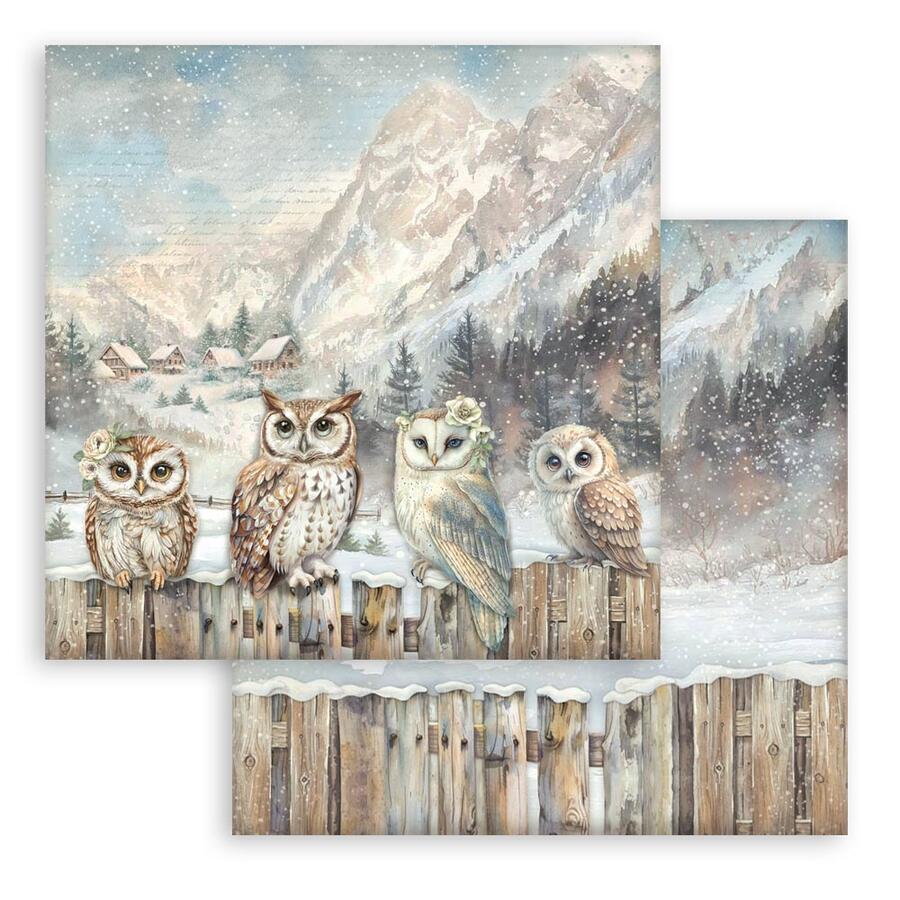 Blocco 10 fogli 30,5 x 30,5 Double Face "The Owl's House"