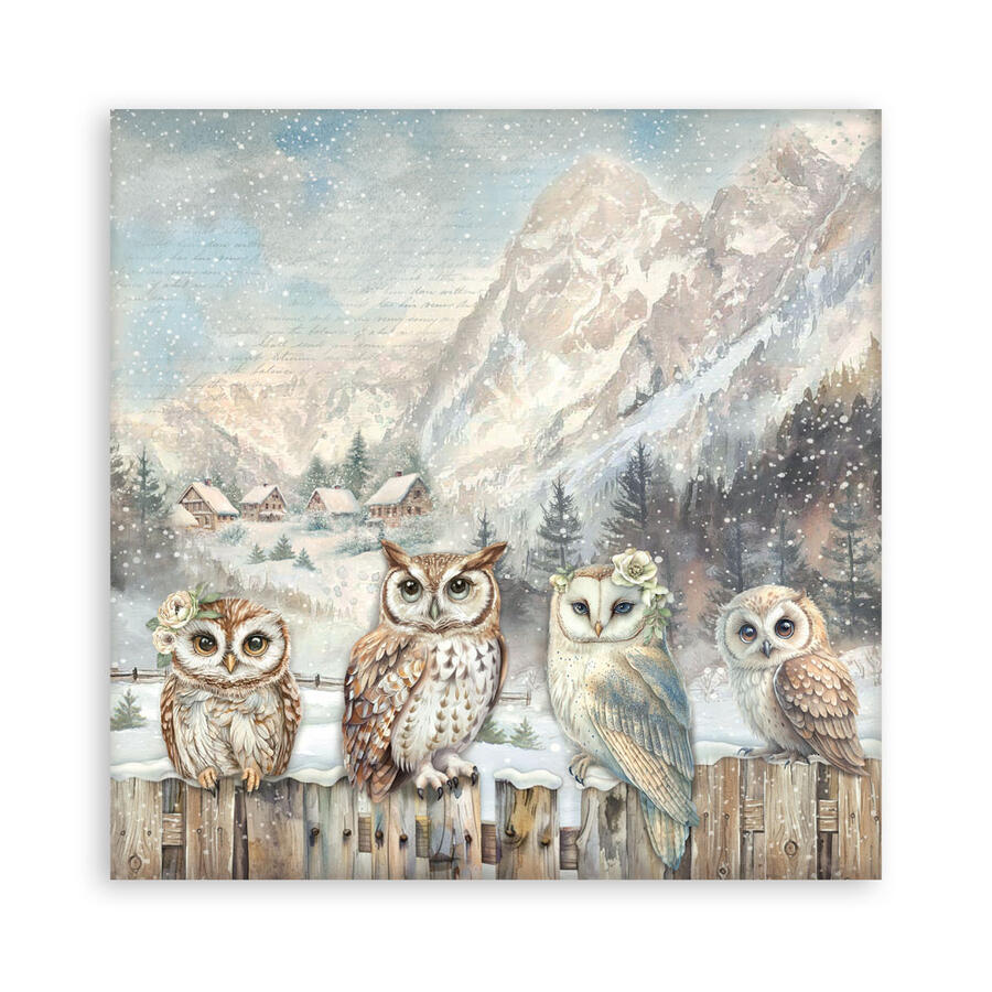Blocco 10 fogli 30,5 x 30,5 Double Face "The Owl's House"