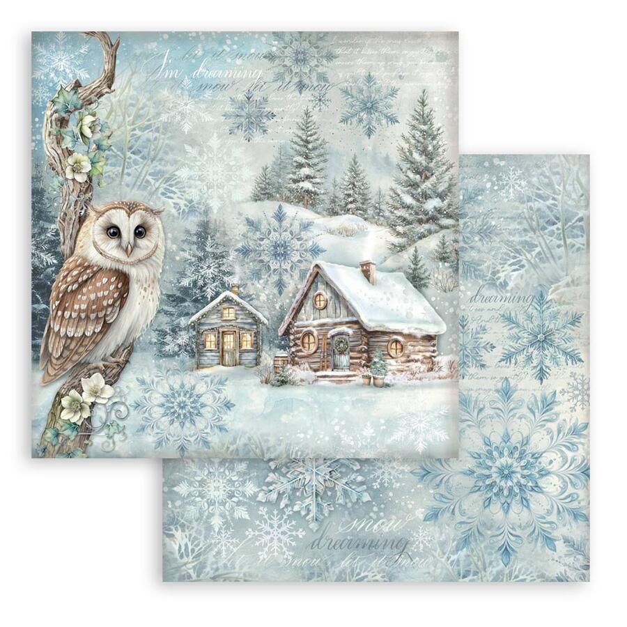 Blocco 10 fogli 20,3 x 20,3 Double Face "The Owl's House"