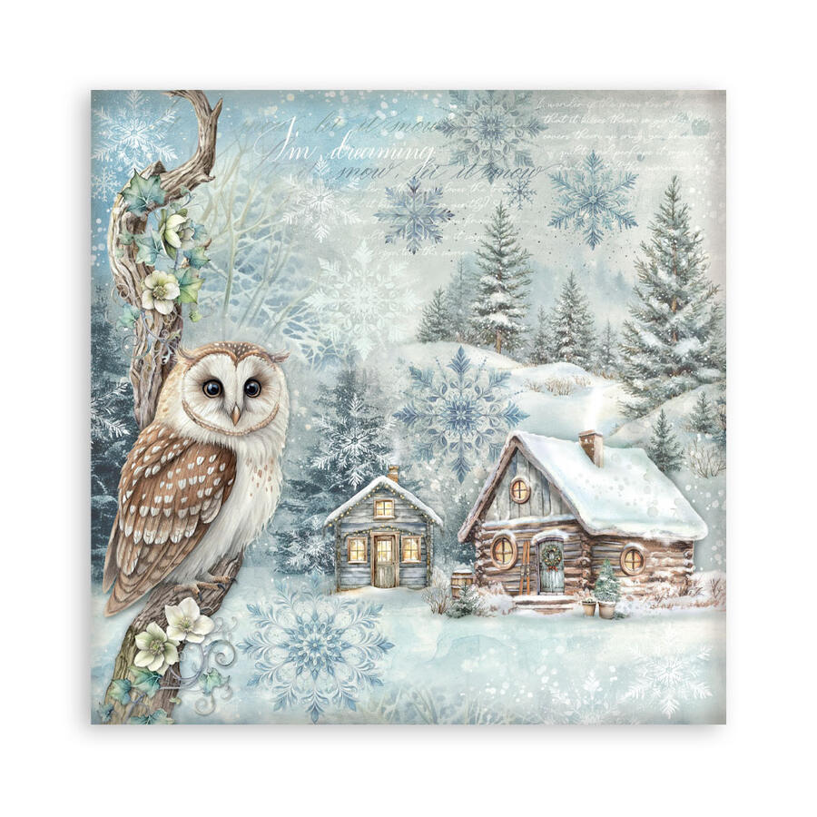 Blocco 22 fogli 30,5 x 30,5 Single Face "The Owl's House"