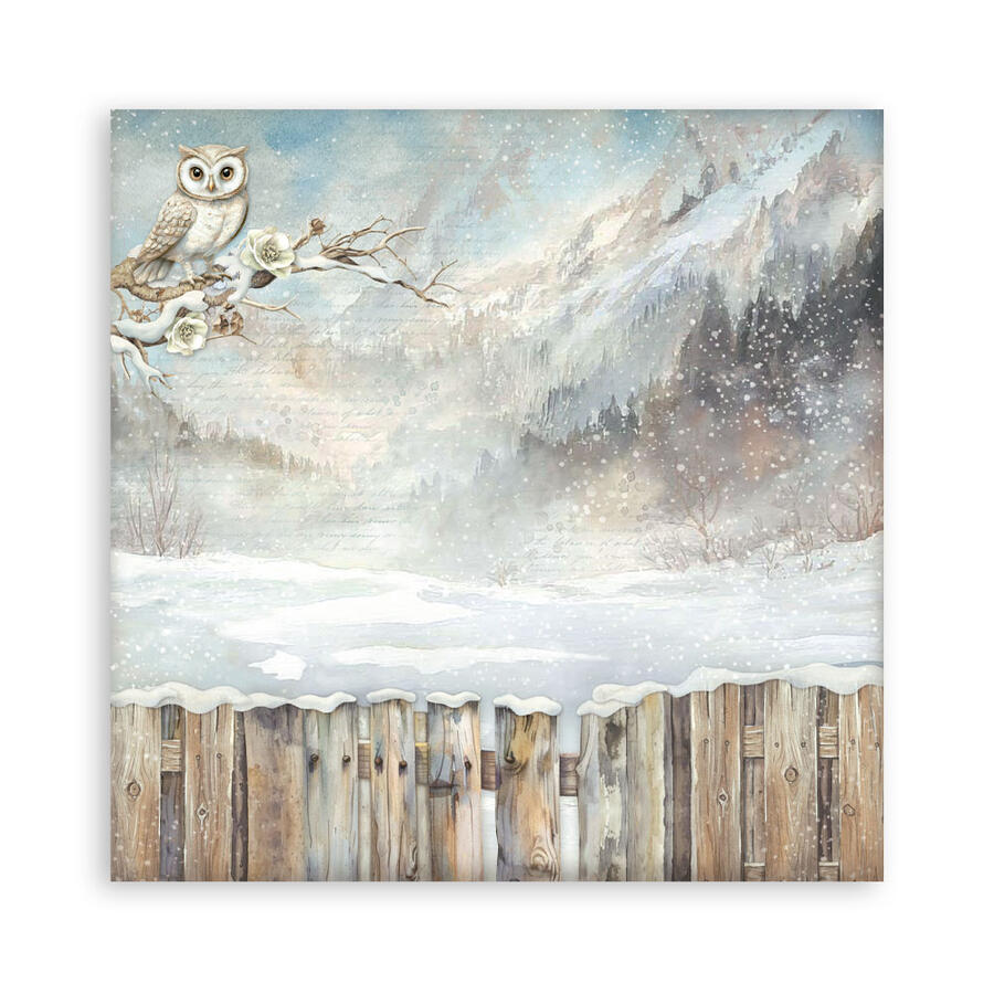 Blocco 22 fogli 30,5 x 30,5 Single Face "The Owl's House"