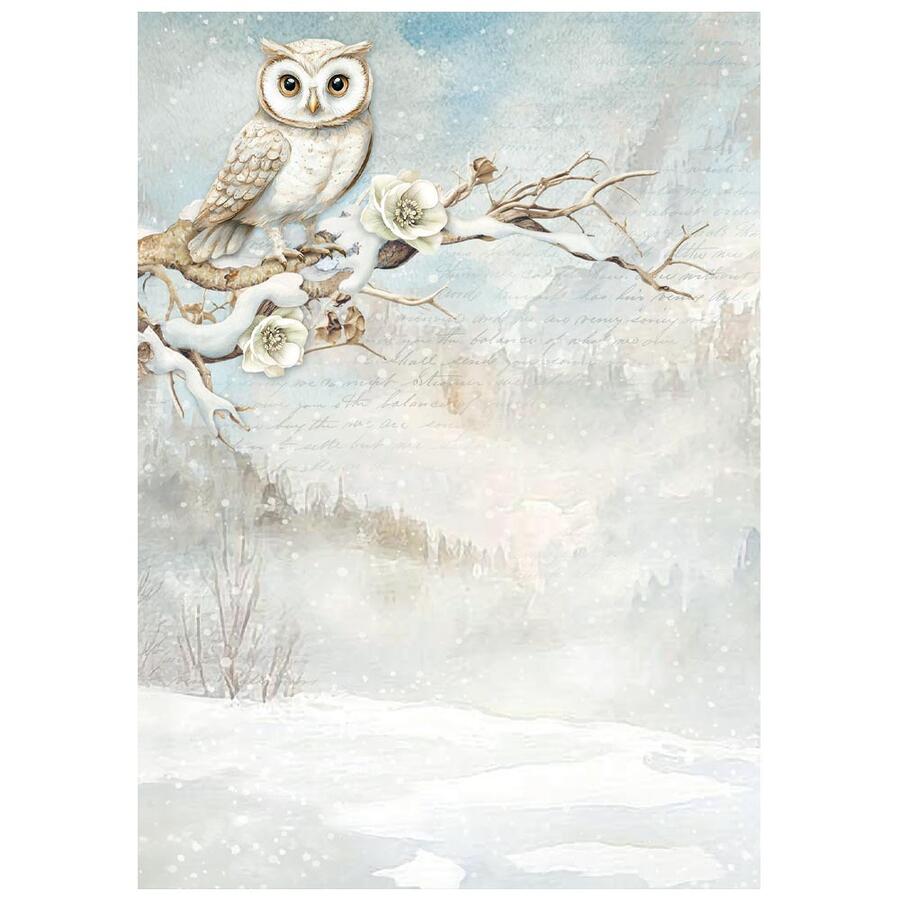 Selezione 8 carte di riso foto A6 Backgrounds The Owl's House