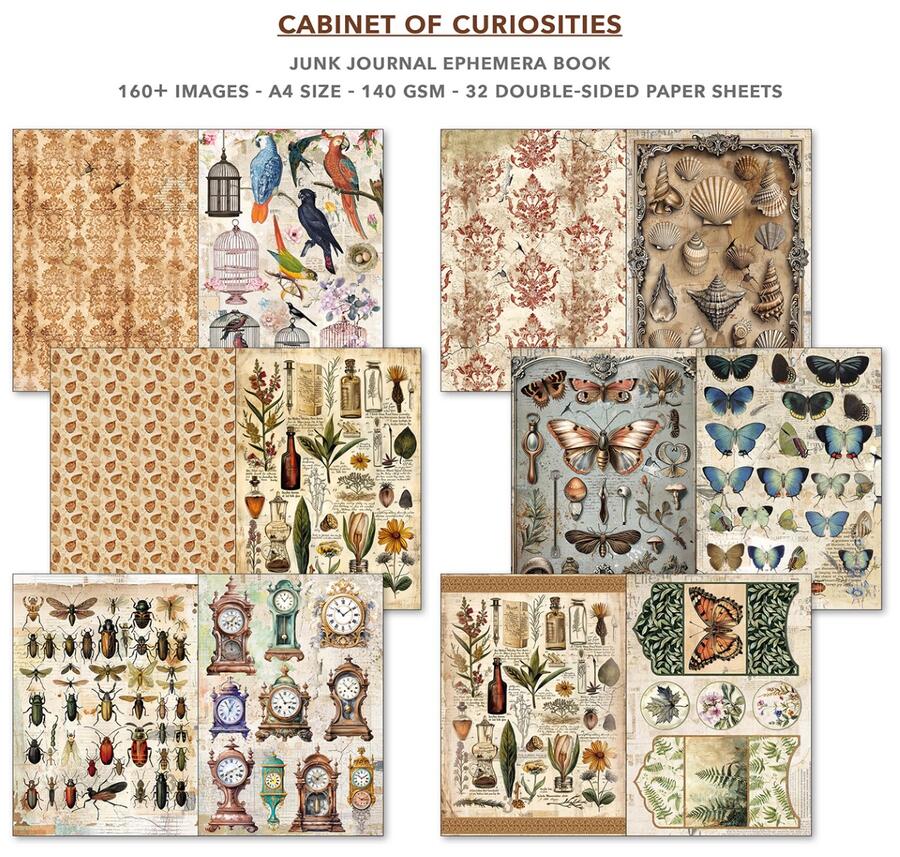 Junk Journal Ephemera Book Cabinet of Curiosities