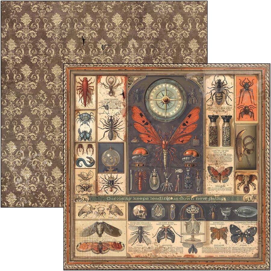 Cabinet of Curiosities Paper pad 30,5 x 30,5