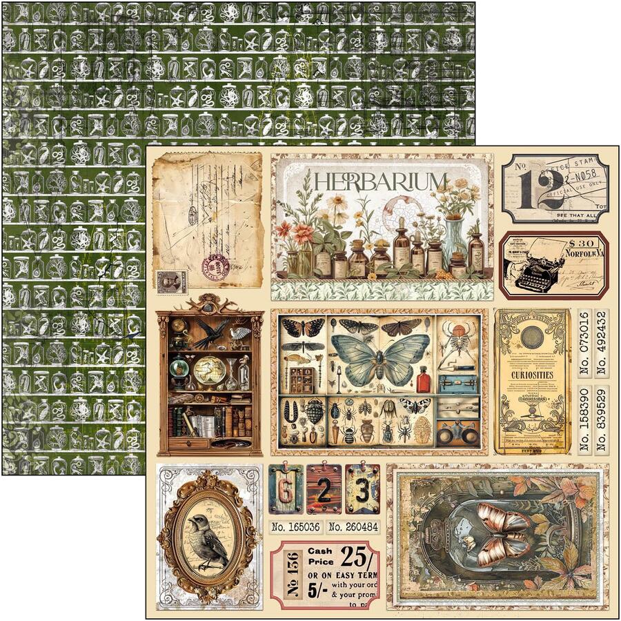 Cabinet of Curiosities Paper pad 30,5 x 30,5