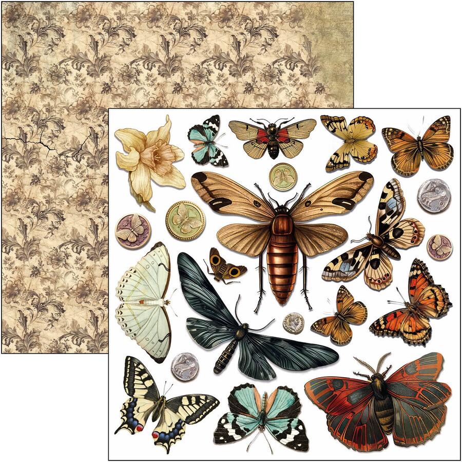 Cabinet of Curiosities Fussy Cut pad 15 x 15 cm